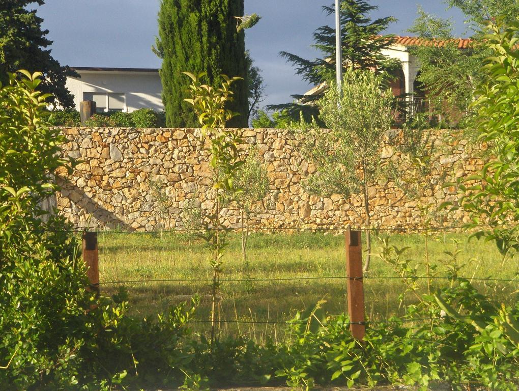 Kleine Hexe B&B Pension Пировац Стая снимка
